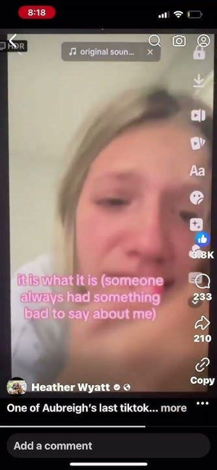 Unveiling The Life Of Aubreigh Wyett: A Journey Through Inspiration And Talent