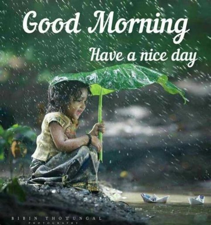 Embracing The Serenity Of The Good Morning Rainy Season