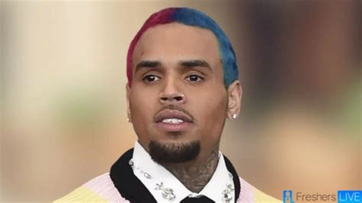 Is Chris Brown A Billionaire: Exploring The Wealth Of The R&B Star