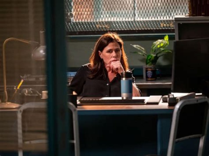 Maura Tierney's Role In Law And Order: A Deep Dive