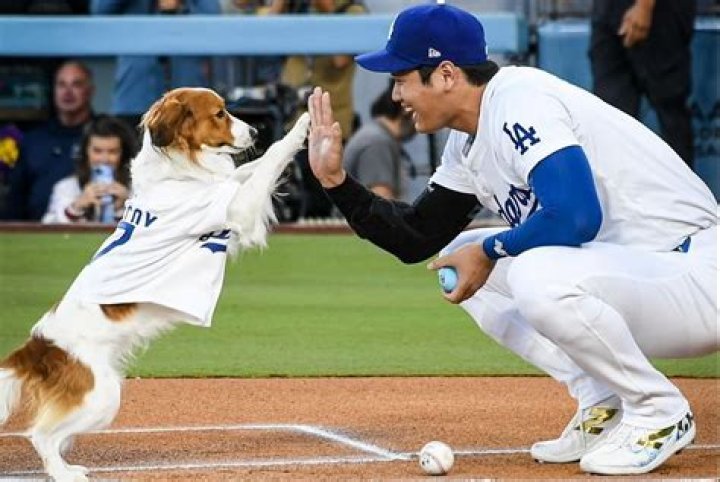 Unveiling The Enigma: Ohtani Height And More