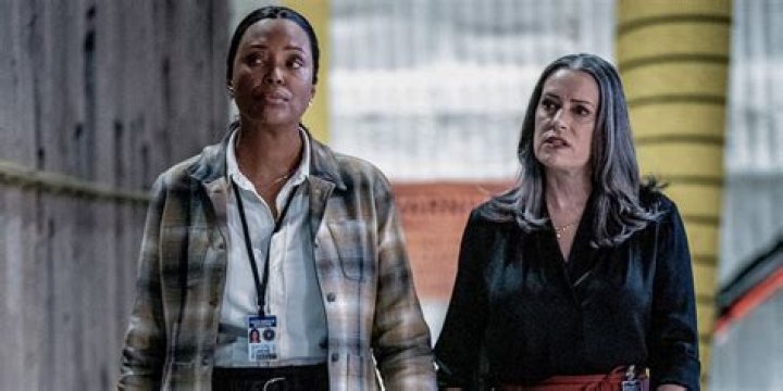 Who Are Paget Brewster's Siblings? Uncover The Family Connections