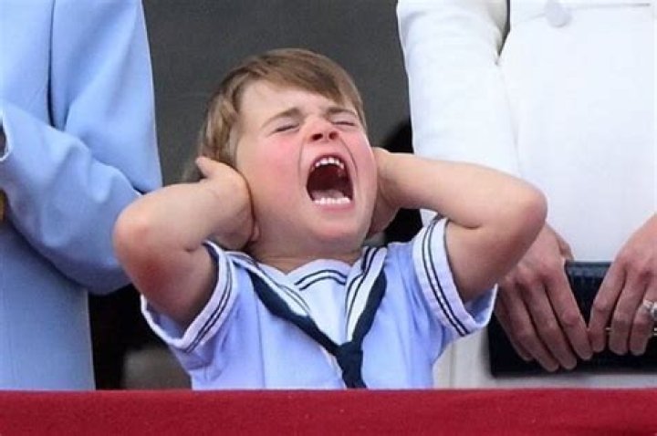 Understanding Prince Louis On The Spectrum