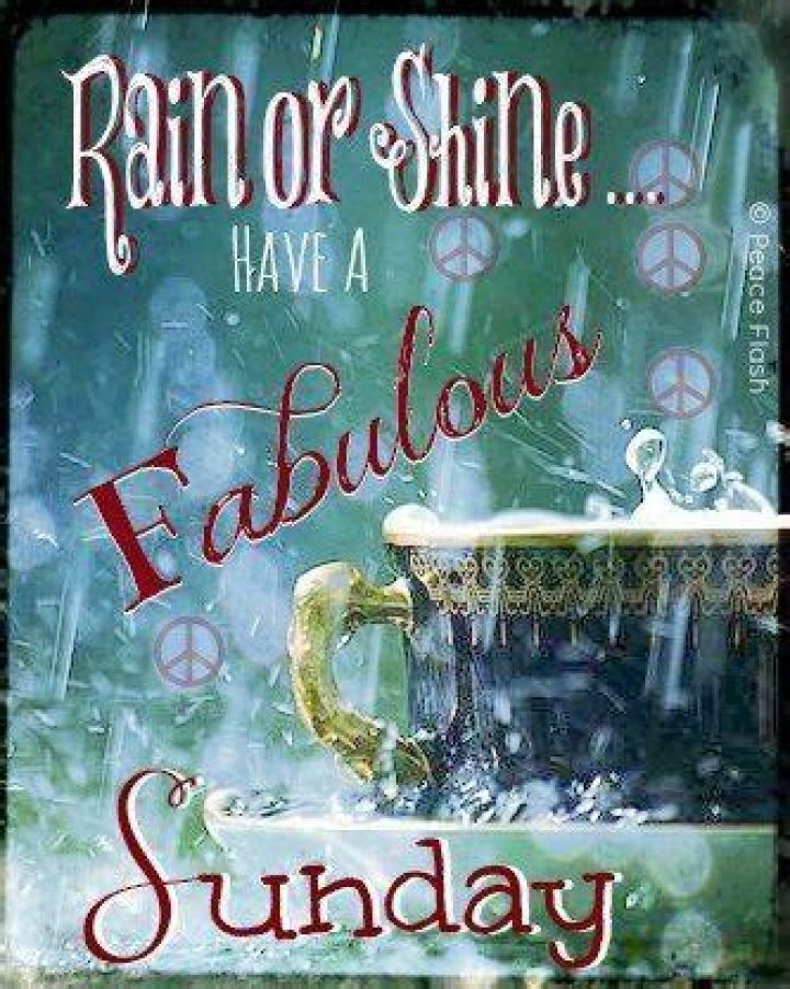 Embracing The Charm Of Rainy Sunday Wishes