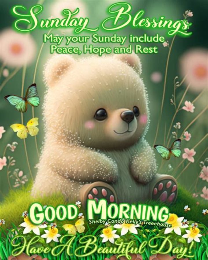 Embracing The Charm Of Sunday Morning Cute